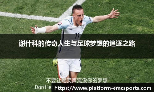 谢什科的传奇人生与足球梦想的追逐之路