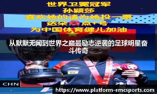 emc易倍体育官网